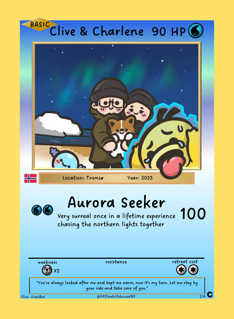 Aurora Seeker — Tromsø, Norway, 2023